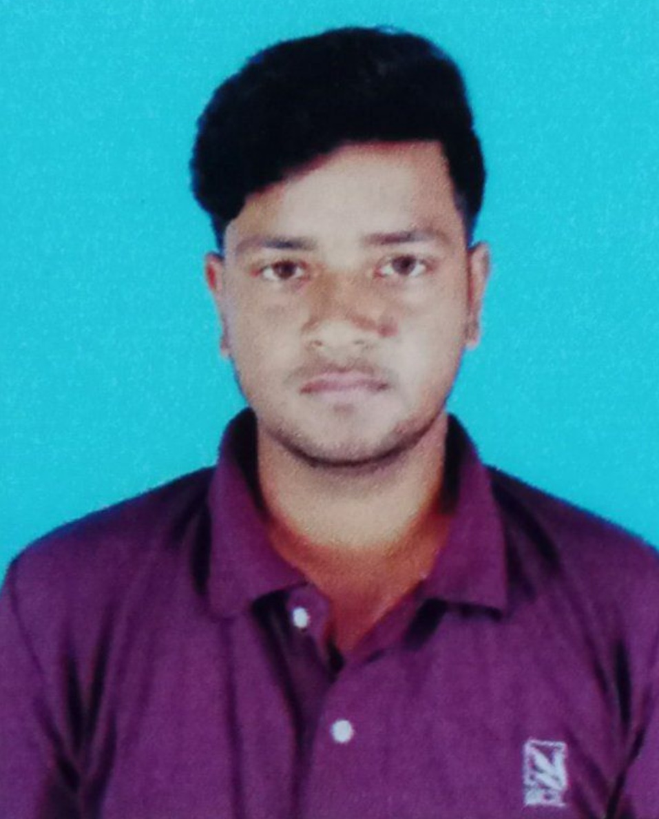 DIP MISTRI